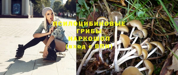 мет Горнозаводск