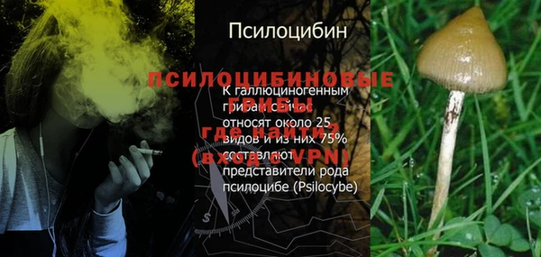 ALPHA-PVP Горняк